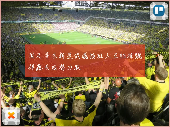 国足寻求新星武磊接班人王钰栋魏祥鑫或成潜力股